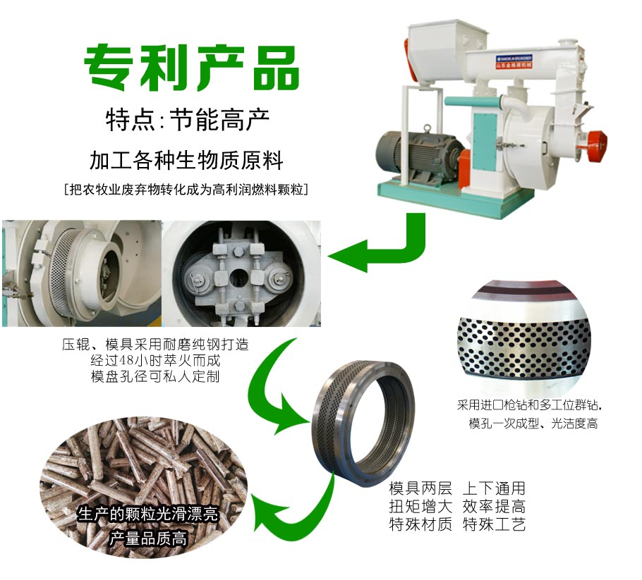 卧式环模P站PROBURN破解版图片