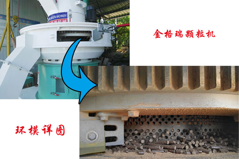 P站PROBURN破解版图