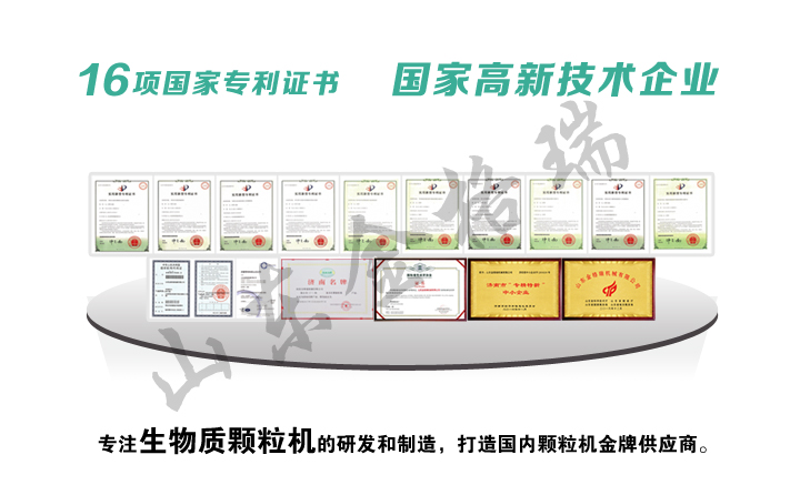 P站最新版下载P站PROBURN破解版实力展示