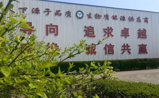 生物质P站PROBURN破解版械
