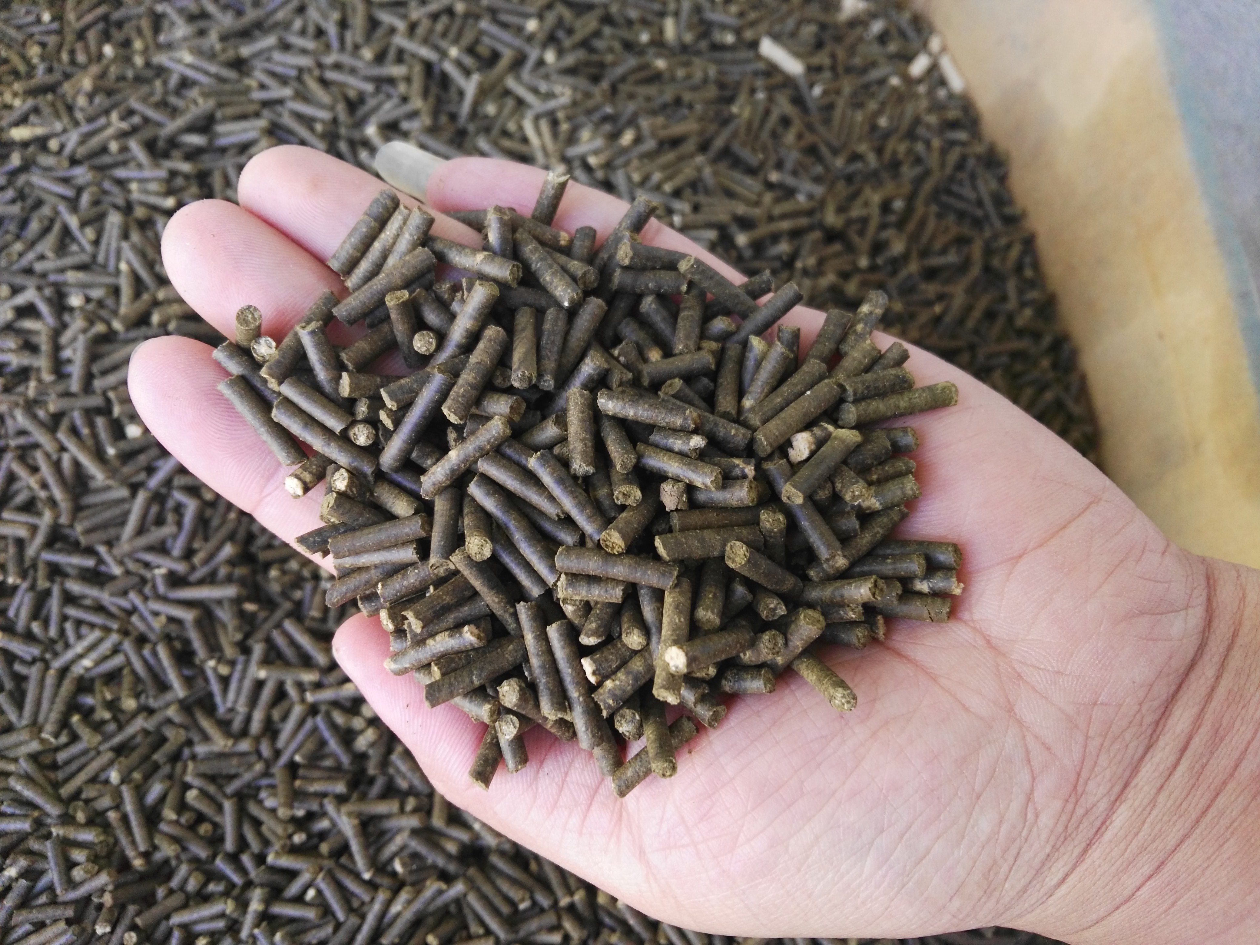 生物质P站PROBURN破解版械