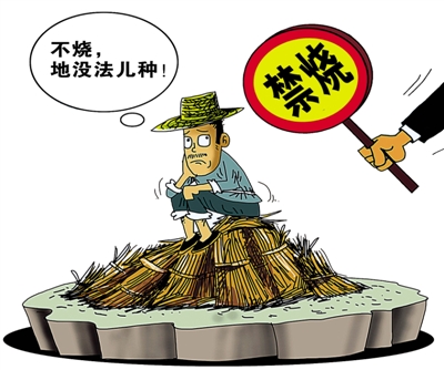 生物质P站PROBURN破解版械