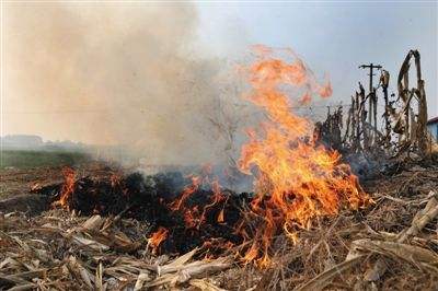 生物质P站PROBURN破解版械