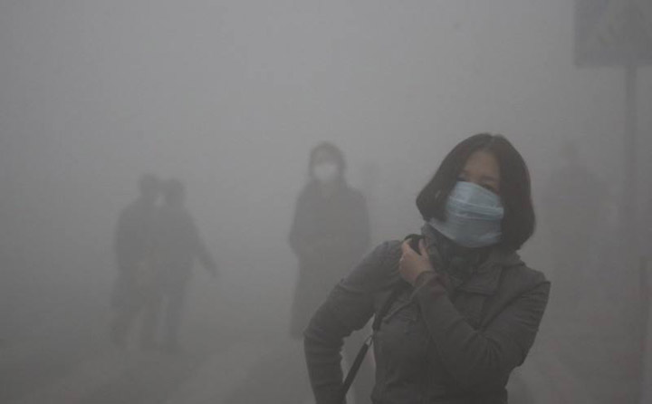 生物质P站PROBURN破解版械
