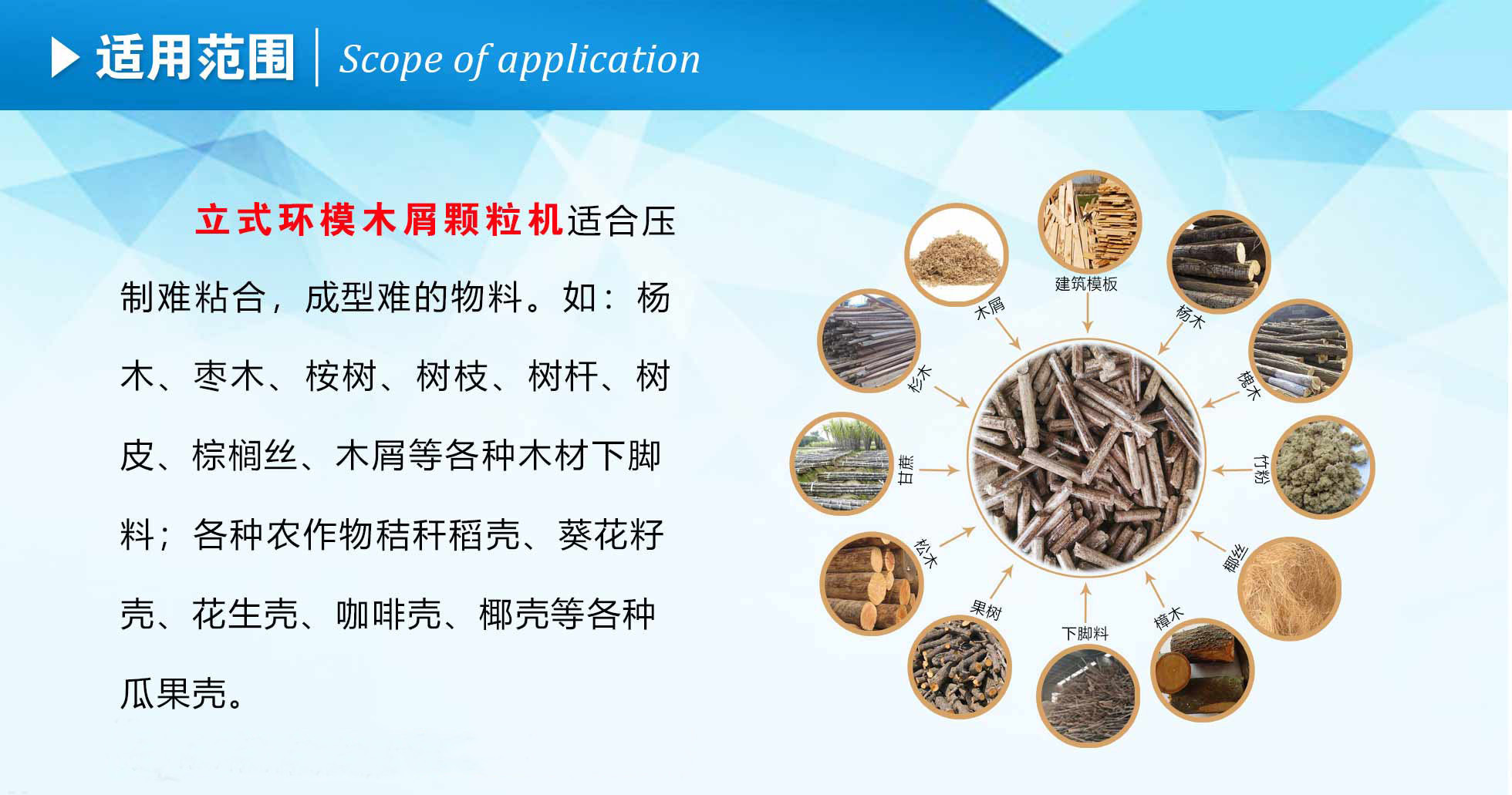生物质P站PROBURN破解版械