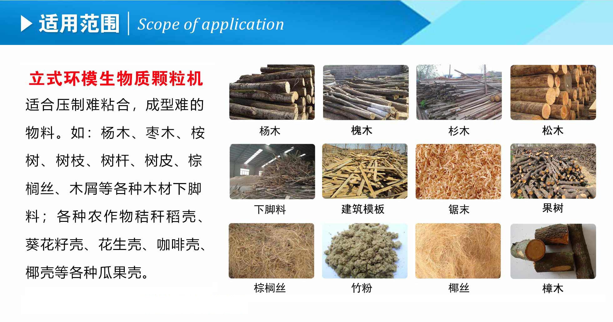 生物质P站PROBURN破解版械