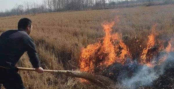 生物质P站PROBURN破解版械