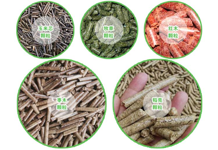 生物质P站PROBURN破解版械