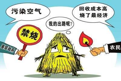 生物质P站PROBURN破解版械