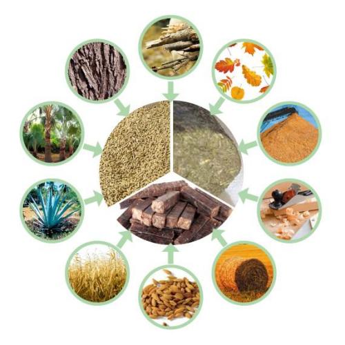 生物质P站PROBURN破解版械