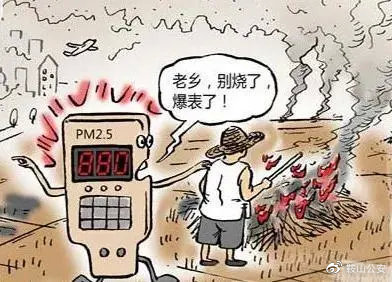 生物质P站PROBURN破解版械