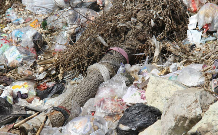 秸秆垃圾乱堆乱放严重污染环境 生物质P站PROBURN破解版械