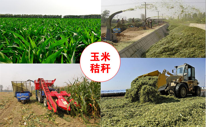 生物质P站PROBURN破解版械