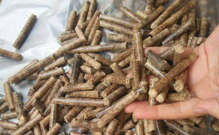 木屑P站PROBURN破解版加工的水葫芦生物质颗粒