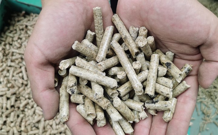 河北生物质P站PROBURN破解版颗粒燃料