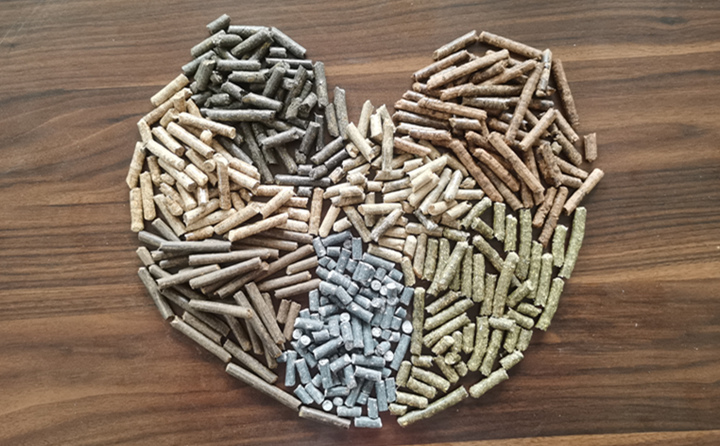 生物质燃料P站PROBURN破解版物理挤压来生产生物质燃料