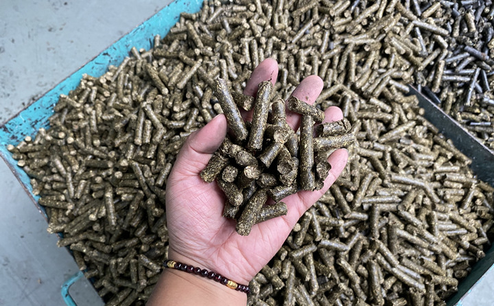 生物质P站PROBURN破解版燃料颗粒