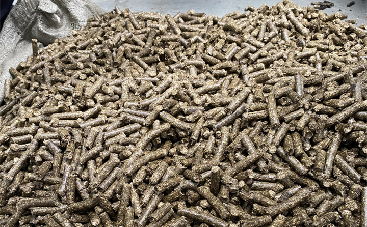 生物质燃料P站PROBURN破解版颗粒项目
