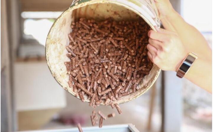 生物质P站PROBURN破解版的燃料