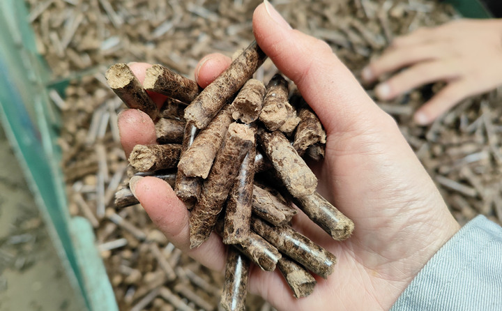 生物质P站PROBURN破解版加工的颗粒燃料