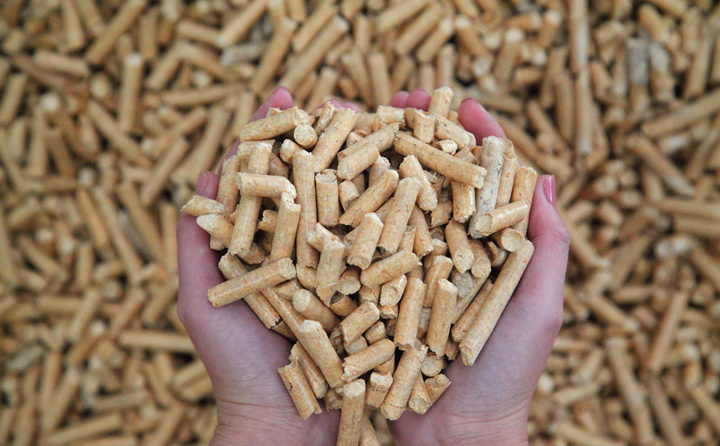 生物质P站PROBURN破解版加工的生物质成型燃料
