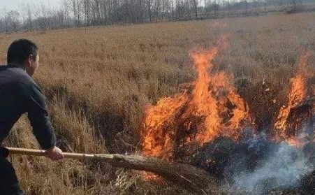 生物质P站PROBURN破解版解决了农村大难题！