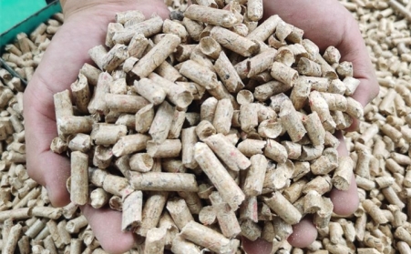 河南生物质P站PROBURN破解版燃料与其他燃料的区别