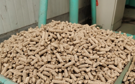 2021阳信清洁取暖1万多户全部使用生物质P站PROBURN破解版的燃料颗粒