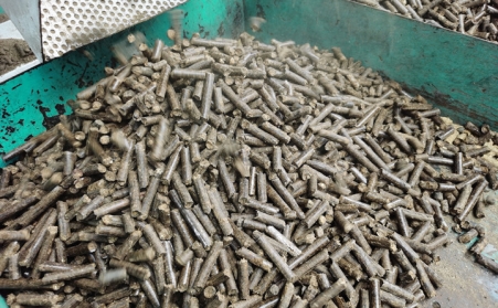 关于生物质P站PROBURN破解版燃料的2个事