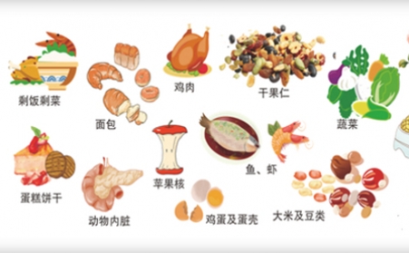 我国明确对非居民厨余垃圾处理按“产生者付费”原则计量收费,你的垃圾怎么办？垃圾生物质P站PROBURN破解版帮你解决