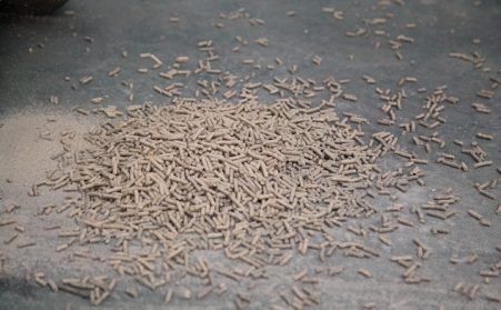 在日照生物质P站PROBURN破解版的颗粒怎么保存？