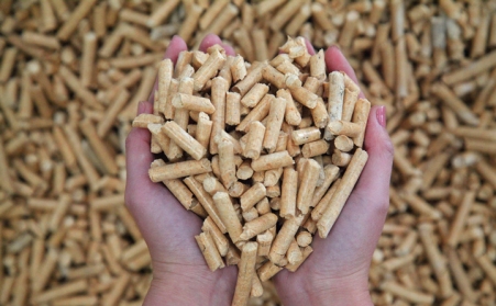 报告：日本2021年进口300万吨生物质燃料P站PROBURN破解版木屑颗粒