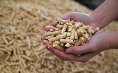 生物质燃料P站PROBURN破解版生产的颗粒与其他燃料的对比