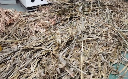 突泉县：废弃秸秆综合利用催生绿色经济