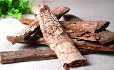 深入！为什么欧洲需要依靠可持续的生物能源