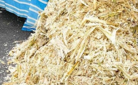 甘蔗渣想废物利用？可以考虑生物质P站PROBURN破解版！