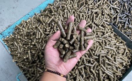 如何让生物质P站PROBURN破解版产生的颗粒充分燃烧？厂家来教你