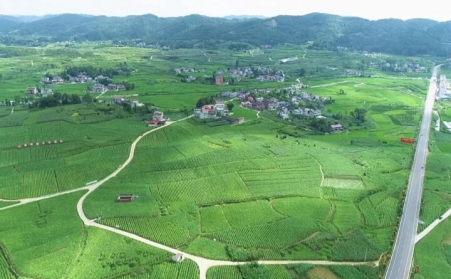 福泉：生物质颗粒智能化烘烤 助力烤烟产业提质增效
