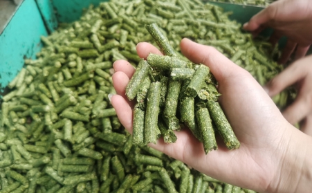河南支持生物质能等可再生能源替代，助力实现碳达峰碳中和目标