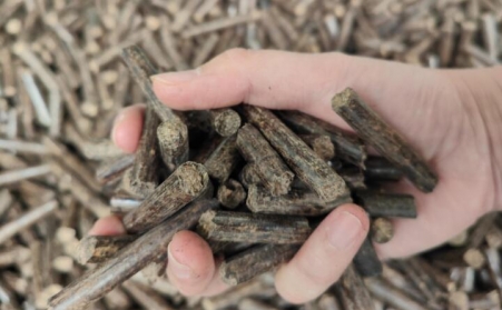 提高生物质P站PROBURN破解版产量小妙招及颗粒用途