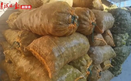 青海海东乐都：生物质颗粒燃料燃起乡村振兴新希望