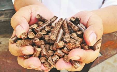 生物质P站PROBURN破解版加工的环保木屑颗粒燃料哪里买？购买应该注意哪些问题？