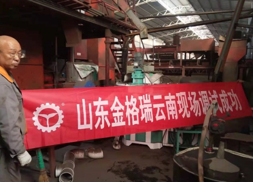 云南生物质燃料P站PROBURN破解版调试成功